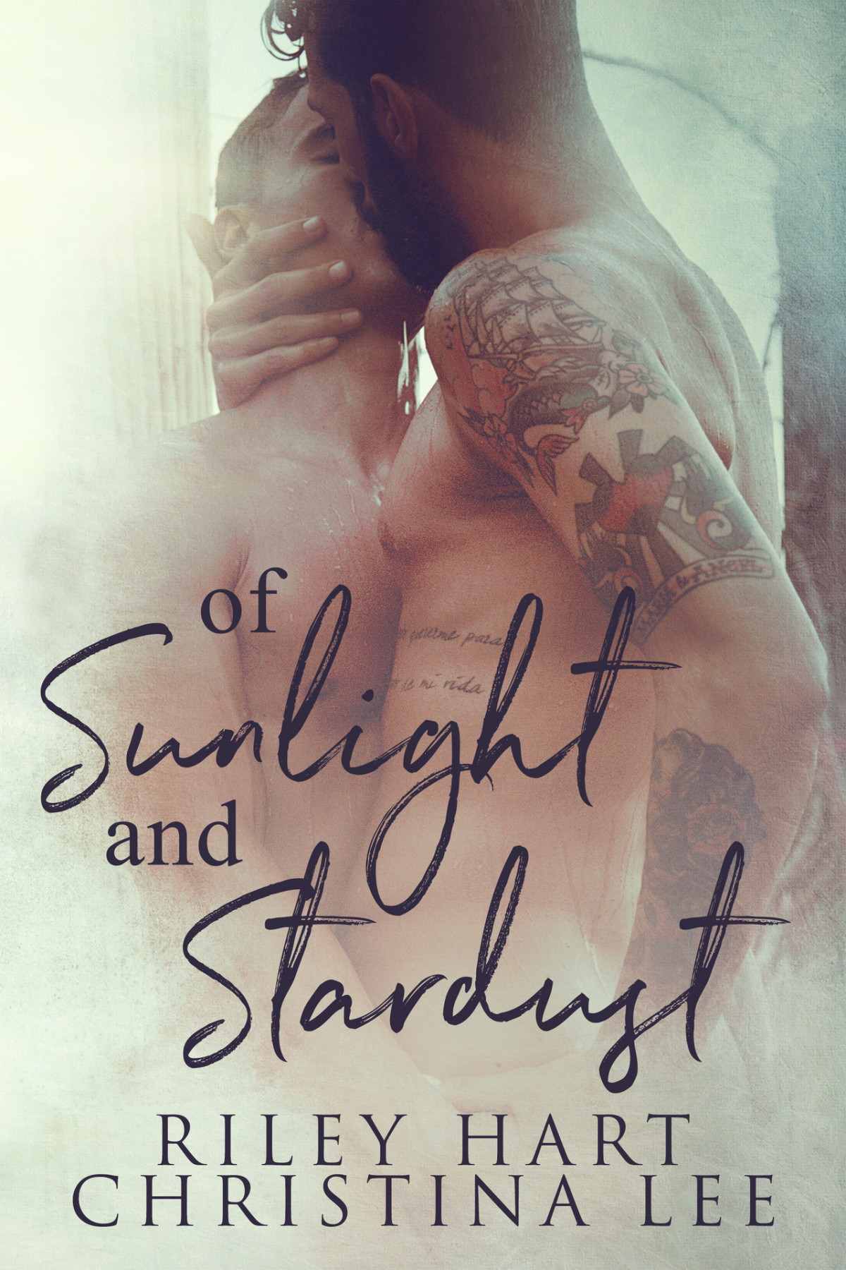 Of Sunlight And Stardust Christina Lee Riley Hart