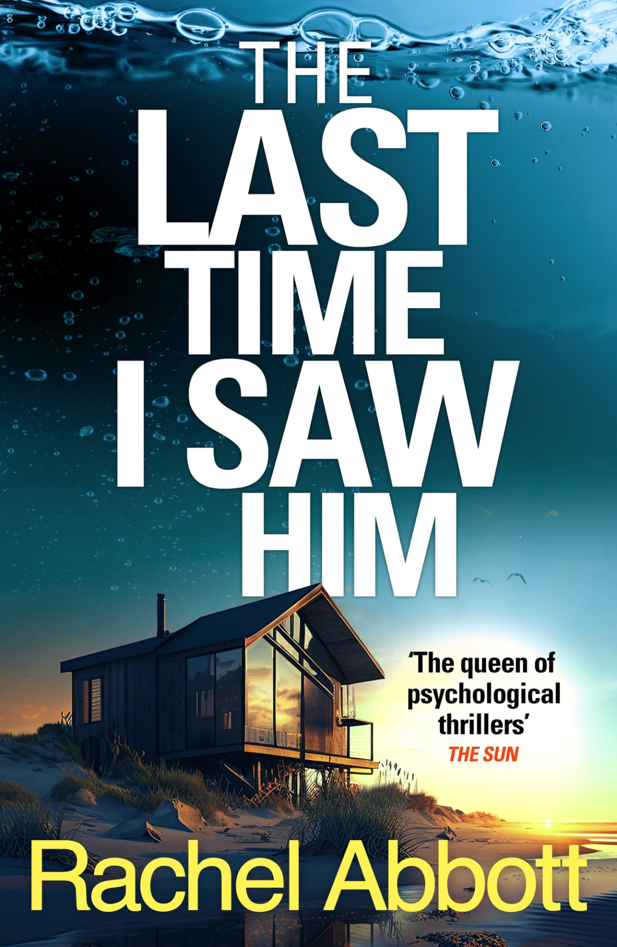 The Last Time I Saw Him A Stephanie King Thriller Rachel Abbott