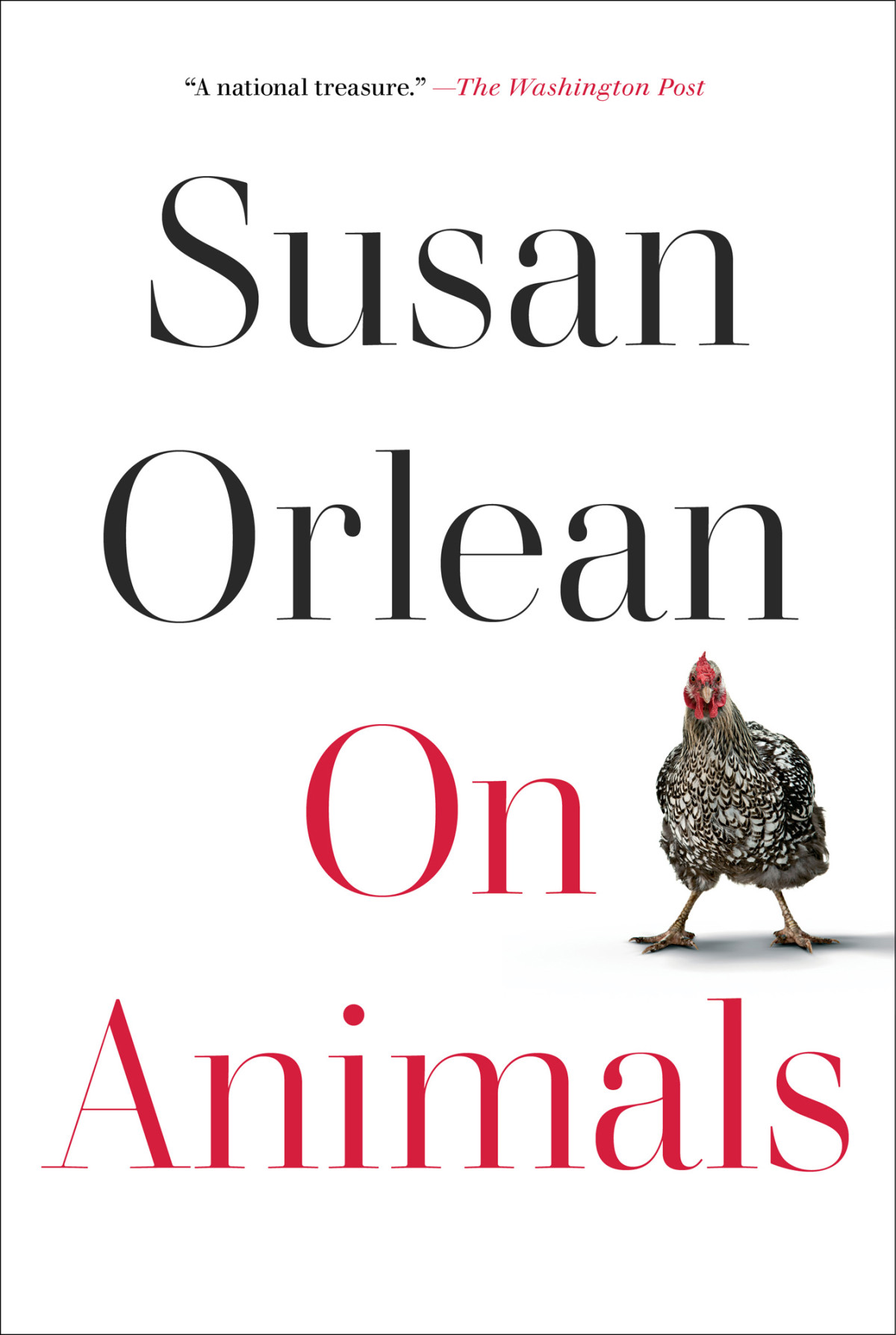 On Animals Susan Orlean