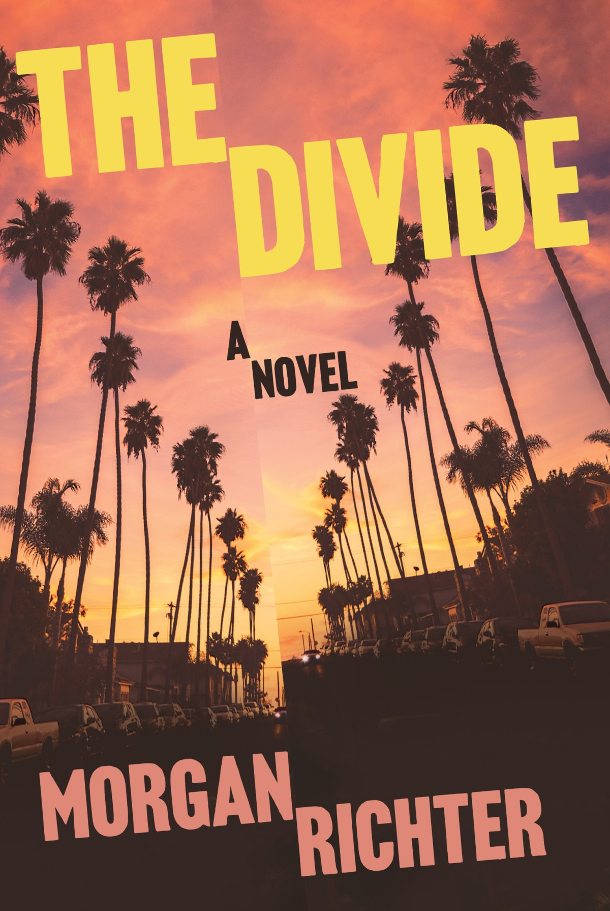 The Divide A Novel Morgan Richter