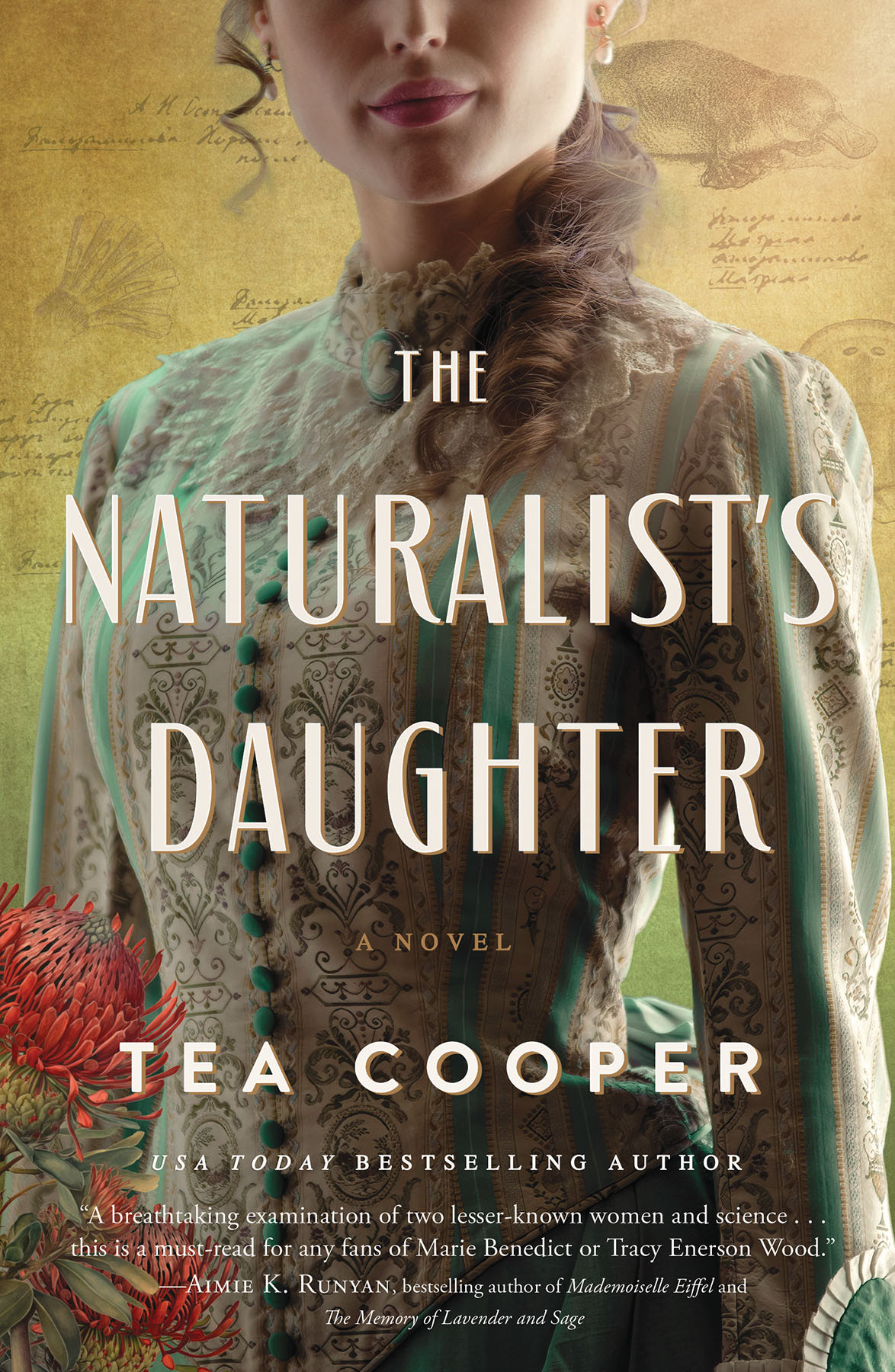 The Naturalists Daughter Tea Cooper