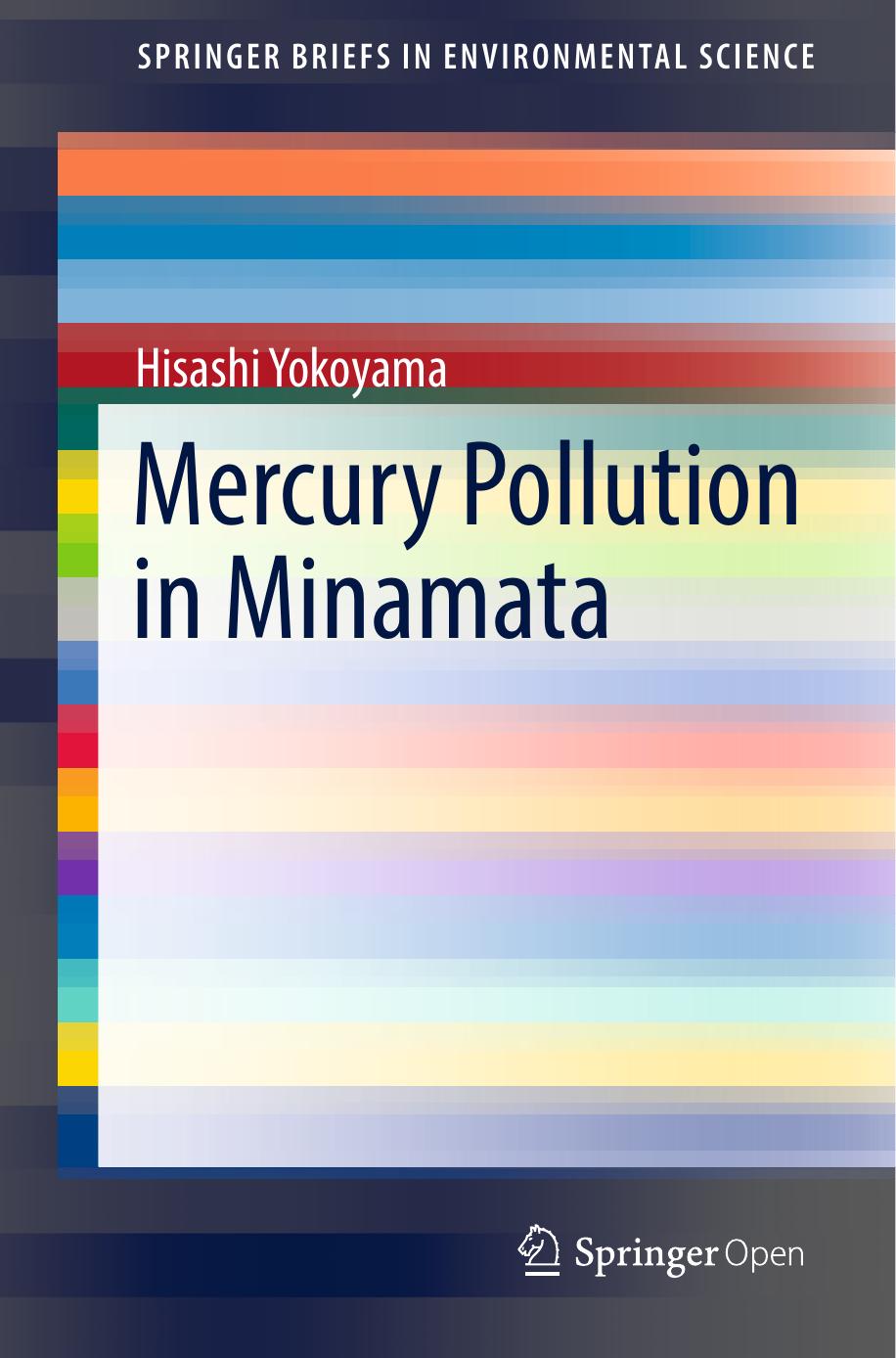 Mercury Pollution In Minamata Hisashi Yokoyama