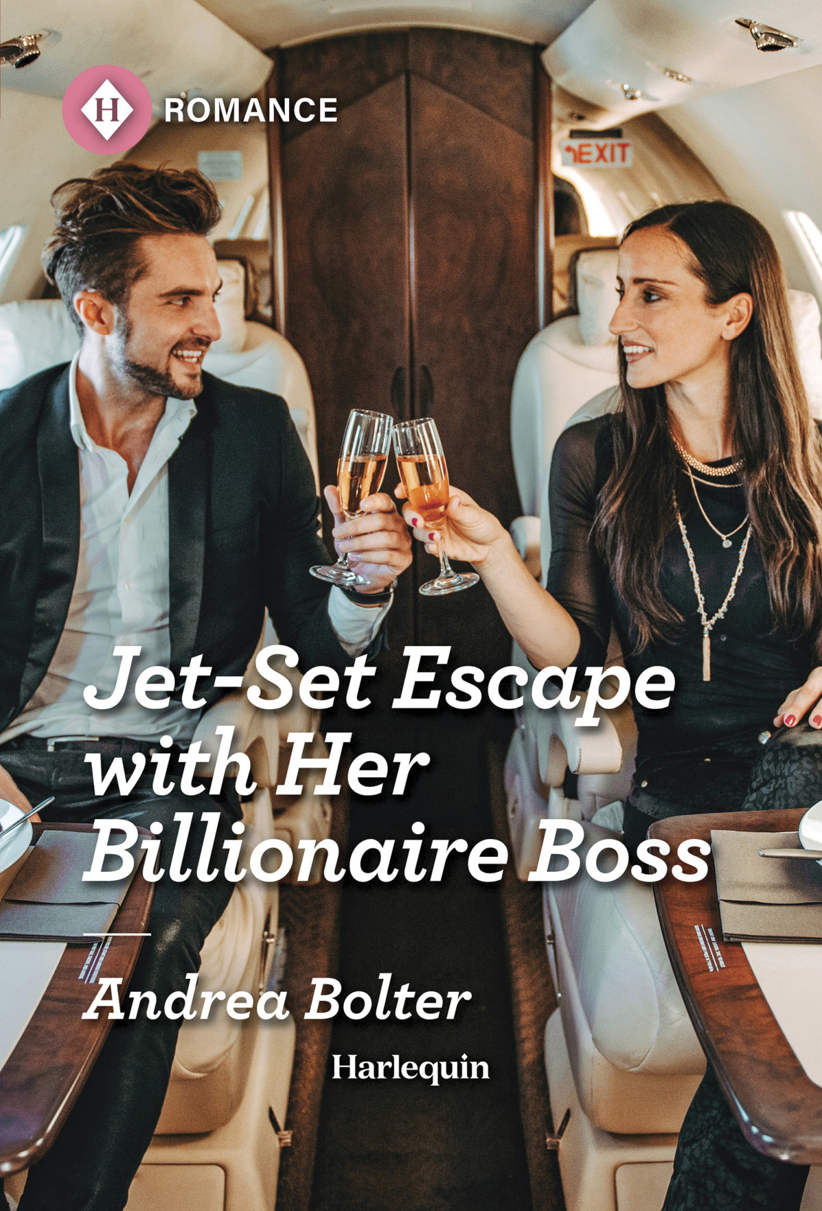 Jetset Escape With Her Billionaire Boss Andrea Bolter