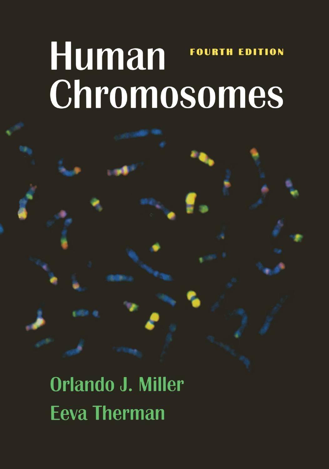 Human Chromosomes 4th Orlando J Miller Eeva Therman