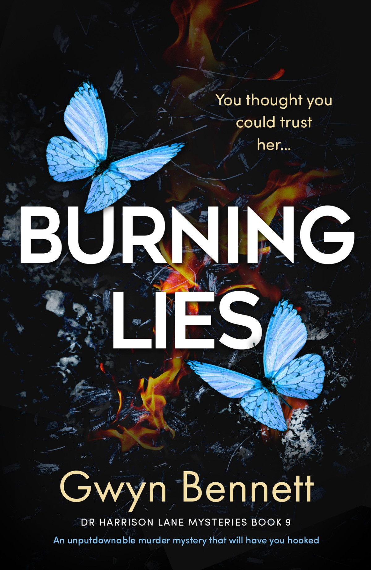 Burning Lies A Dr Harrison Lane Mystery Book 9 Gwyn Bennett