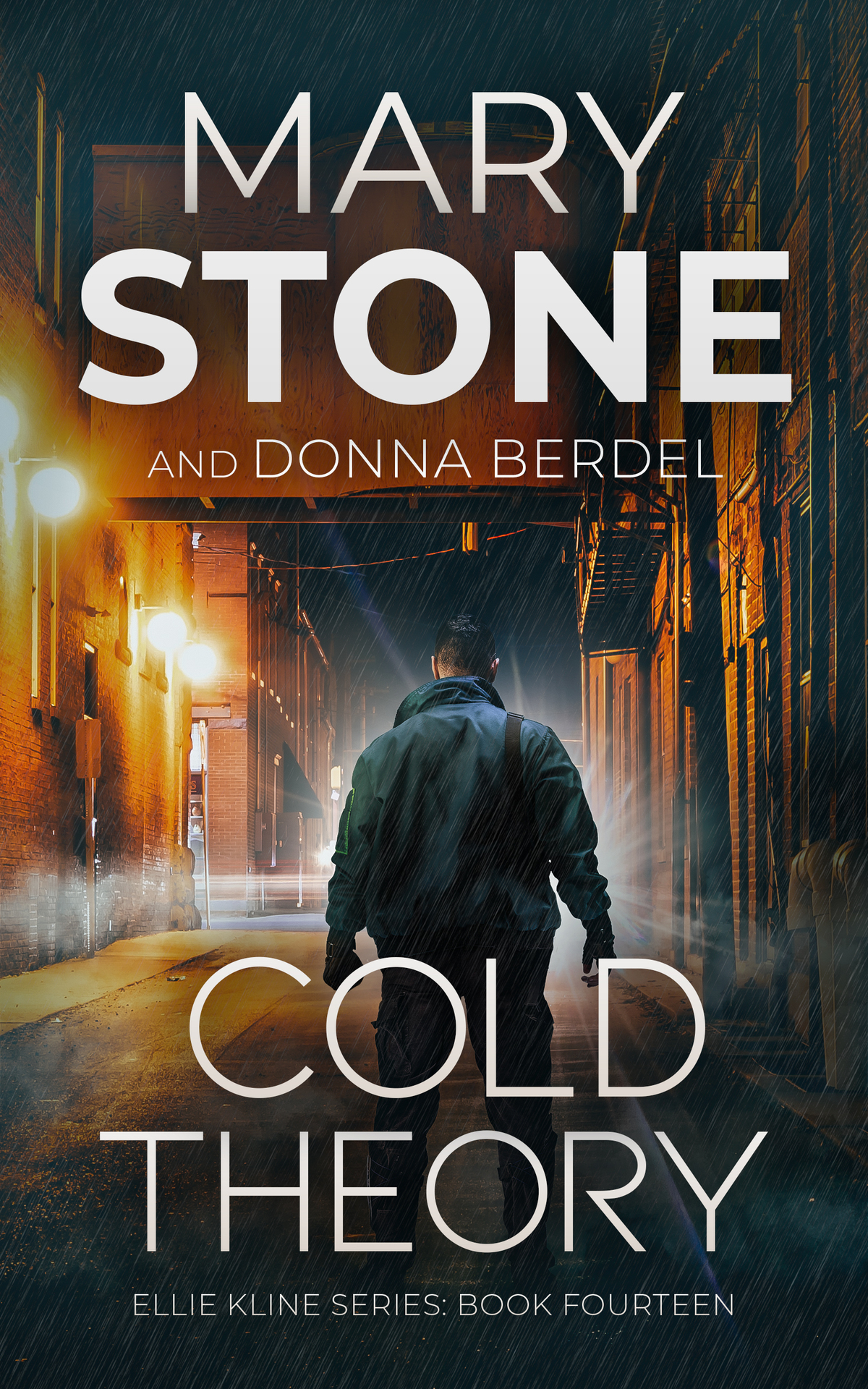 Cold Theory Ellie Kline Psychological Thriller Series Book 14 Mary Stone