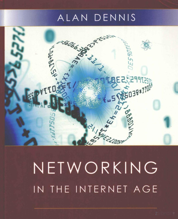 Networking In The Internet Age 2002th Edition Alan Dennis