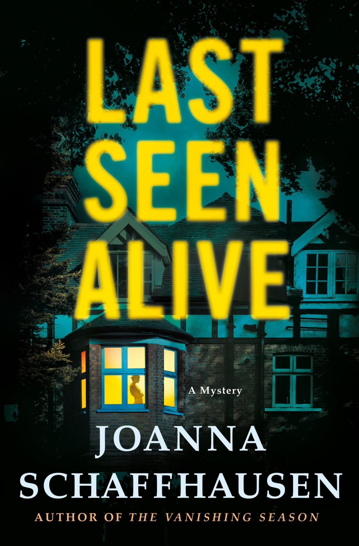 Last Seen Alive Joanna Schaffhausen