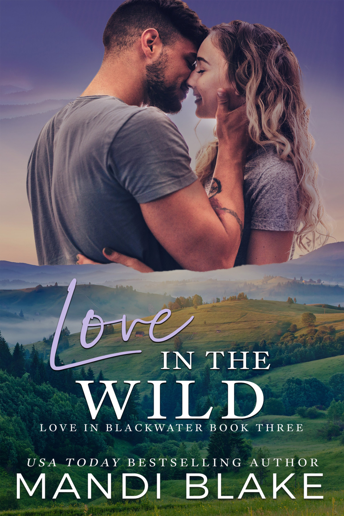 Love In The Wild A Small Town Christian Romance Mandi Blake