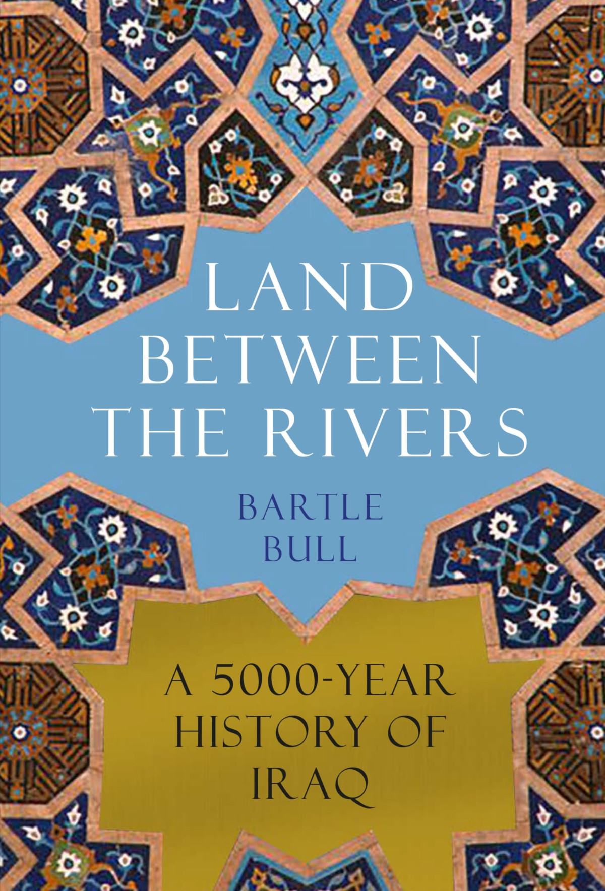 Land Between The Rivers A 5000year History Of Iraq Bartle Bull