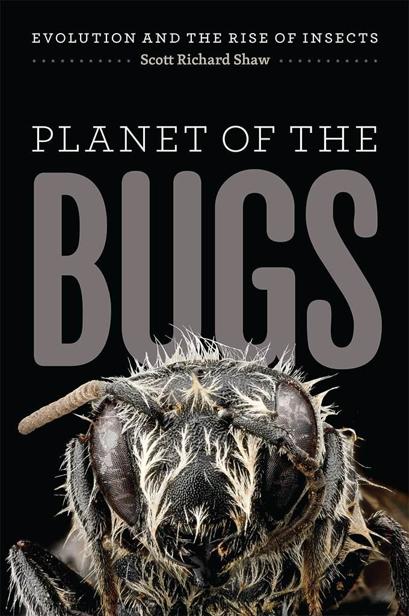 Planet Of The Bugs Evolution And The Rise Of Insects Scott Richard Shaw