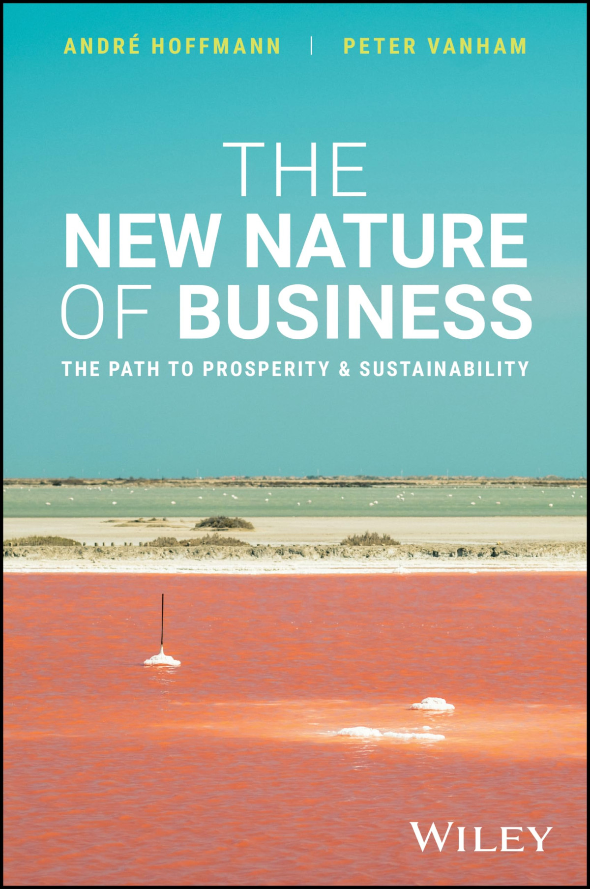 The New Nature Of Business The Path To Prosperity And Sustainability 1st Edition Andre Hoffmann
