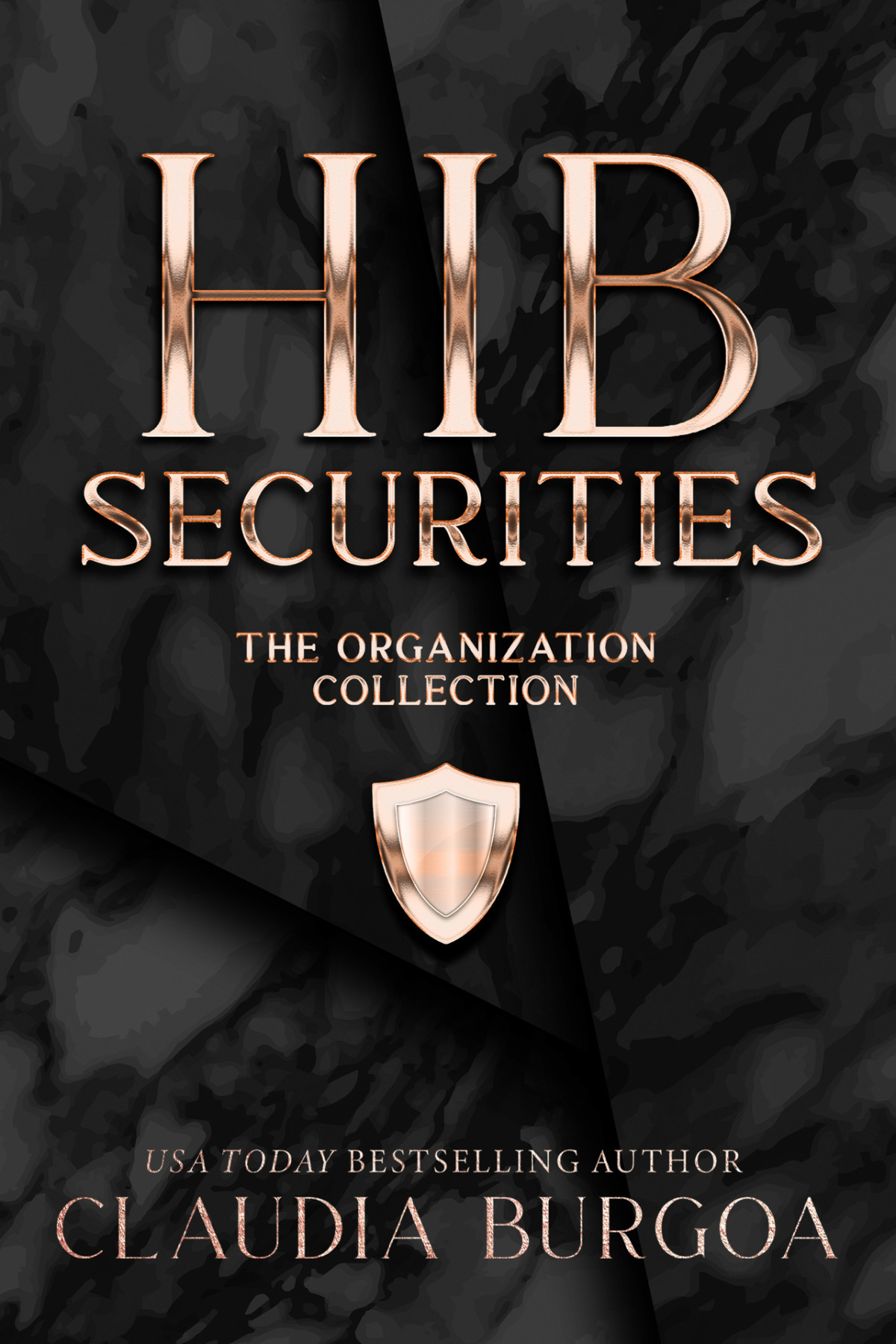 Hib Securities The Organization Collection Claudia Burgoa