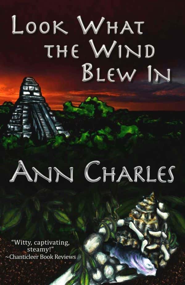 Dig Site Mystery 01look What The Wind Blew In Charles Ann