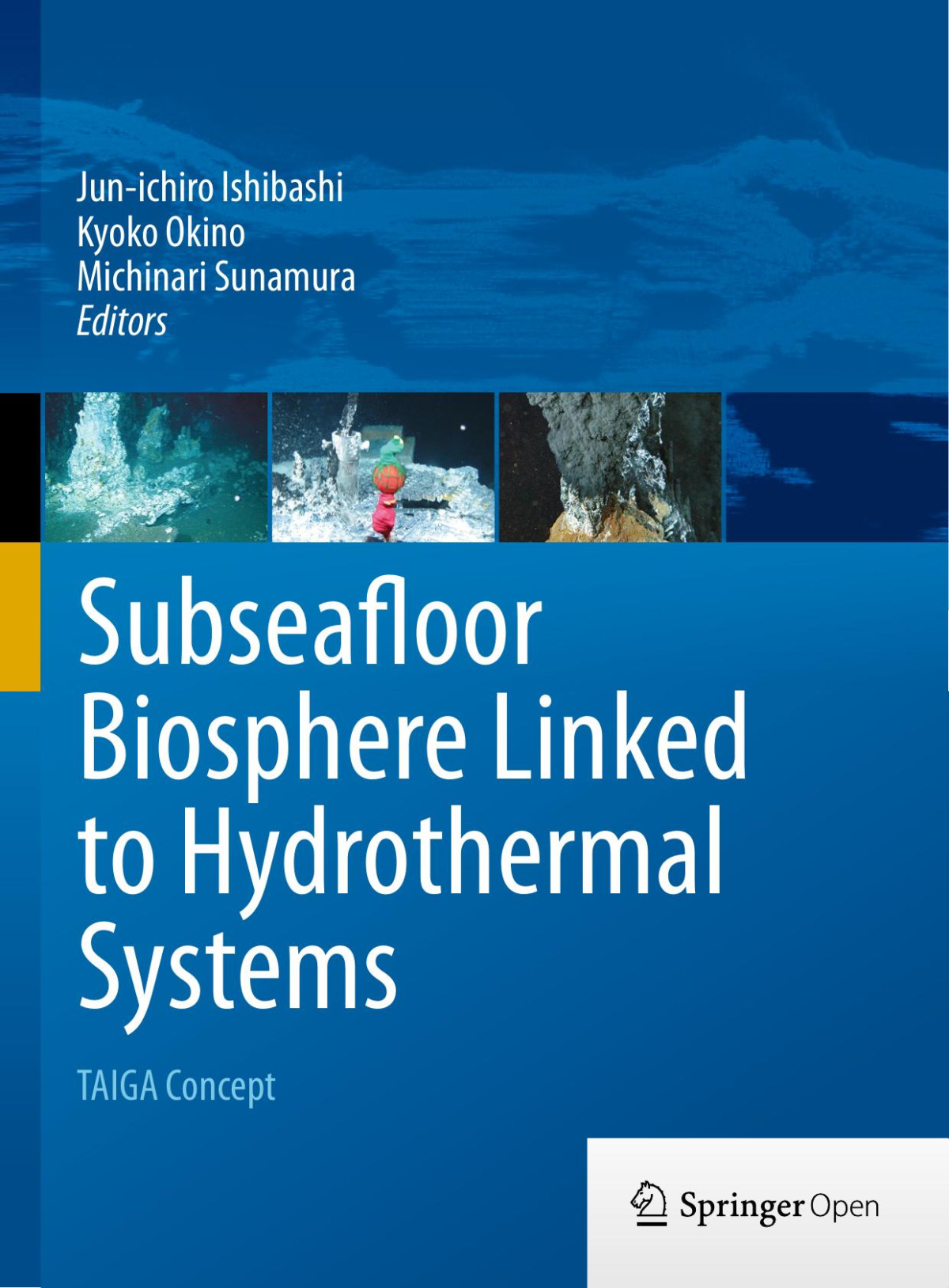 Subseafloor Biosphere Linked To Hydrothermal Systems Junichiro Ishibashi Kyoko Okino Michinari Sunamura