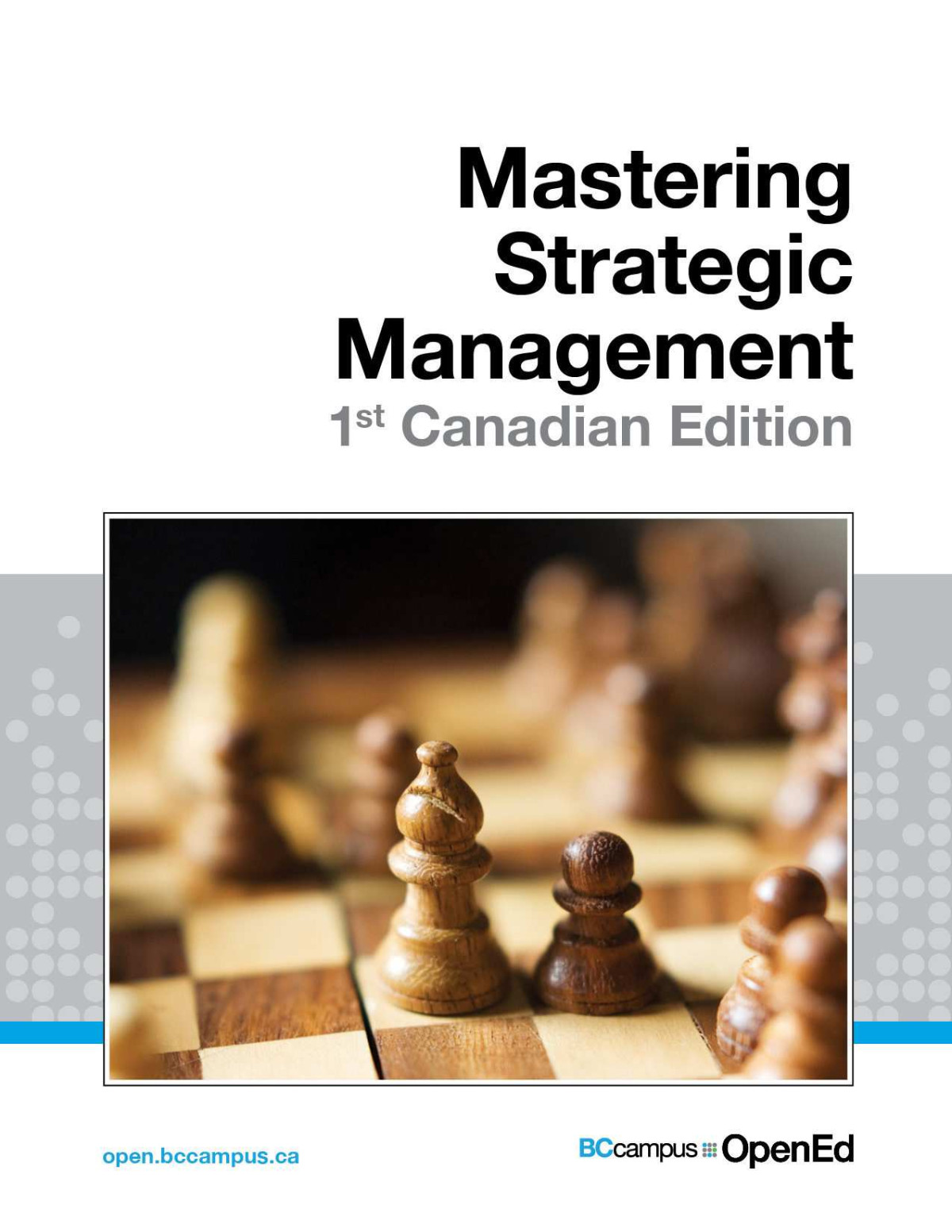 Mastering Strategic Management Janice Edwards