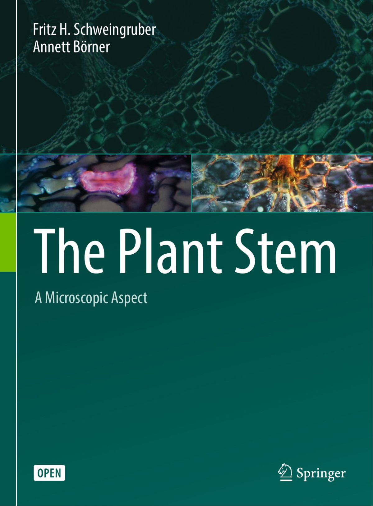 The Plant Stem Fritz H Schweingruber Annett Brner