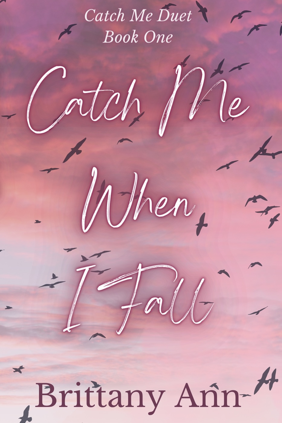 Catch Me When I Fall Catch Me Duet Book 1 Brittany Ann
