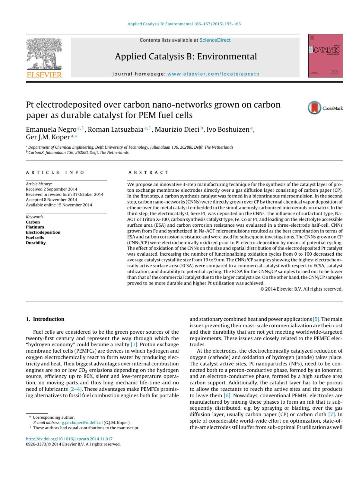 Pt Electrodeposited Over Carbon Nanonetworks Grown On Carbon Paper As Durable Catalyst For Pem Fuel Cells Emanuela Negro Roman Latsuzbaia Maurizio Dieci Ivo Boshuizen Ger Jm Koper