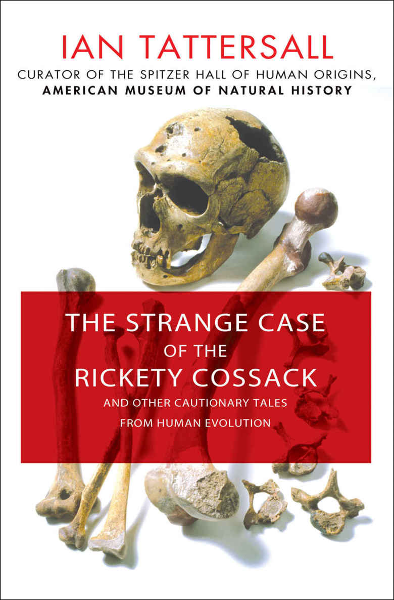The Strange Case Of The Rickety Cossack And Other Cautionary Tales From Human Evolution Tattersall