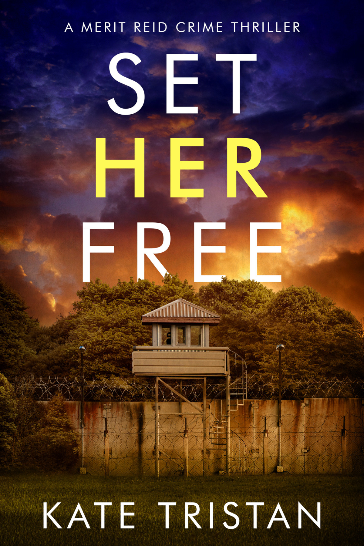 Set Her Free Fbi Agent Merit Reid Crime Thrillers Book 2 Kate Tristan