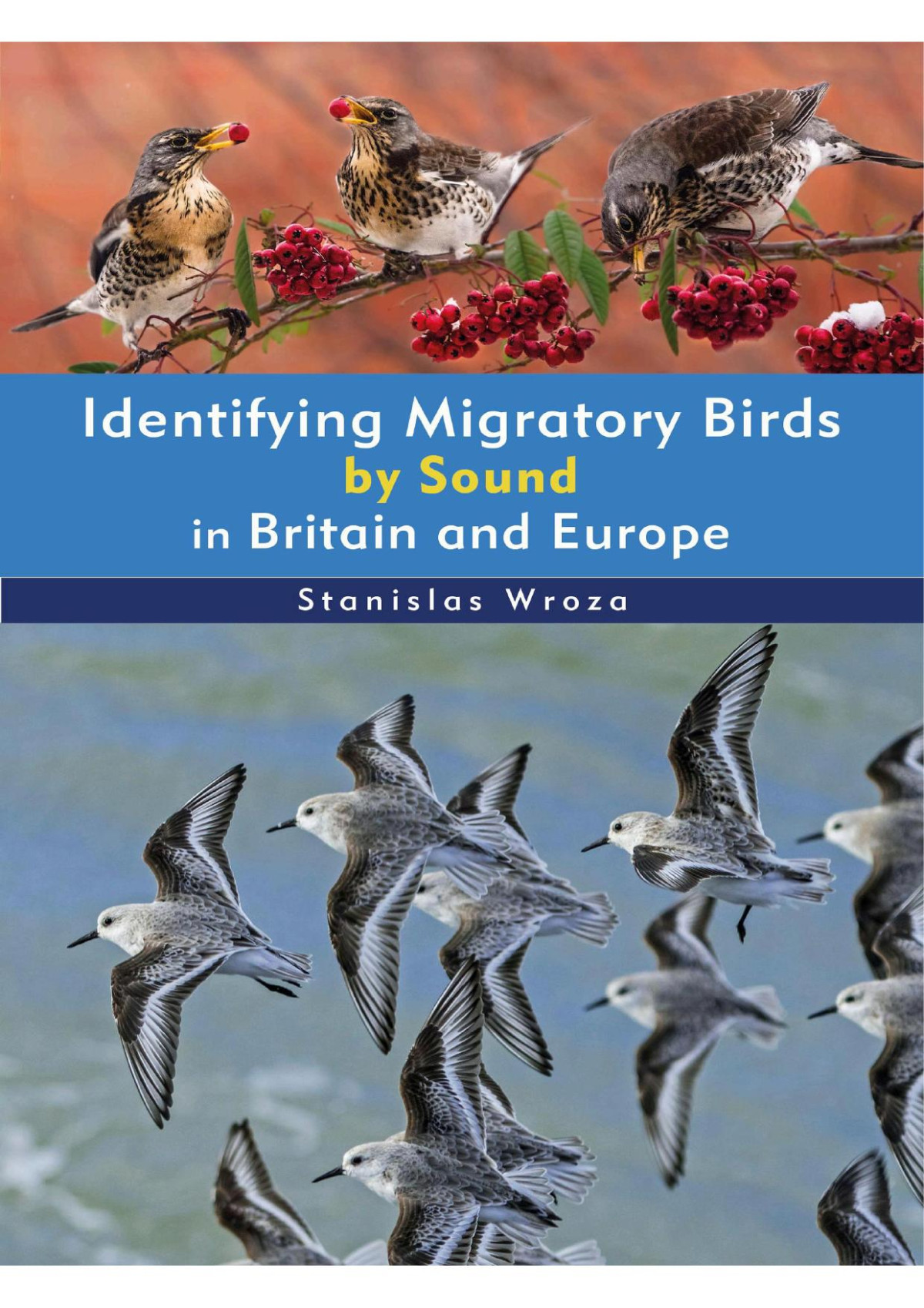 Identifying Migratory Birds By Sound In Britain And Europe 1st Edition Stanislas Wroza