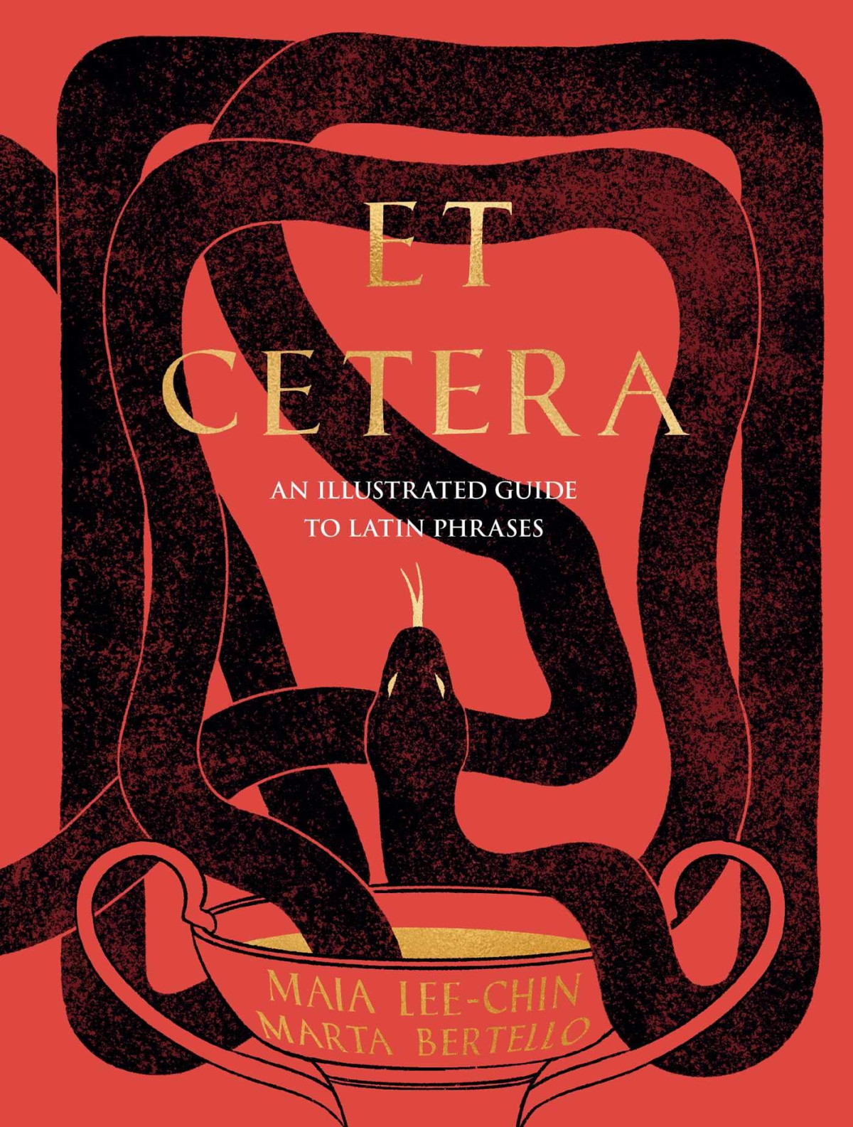 Et Cetera An Illustrated Guide To Latin Phrases 1st Edition Maia Leechin