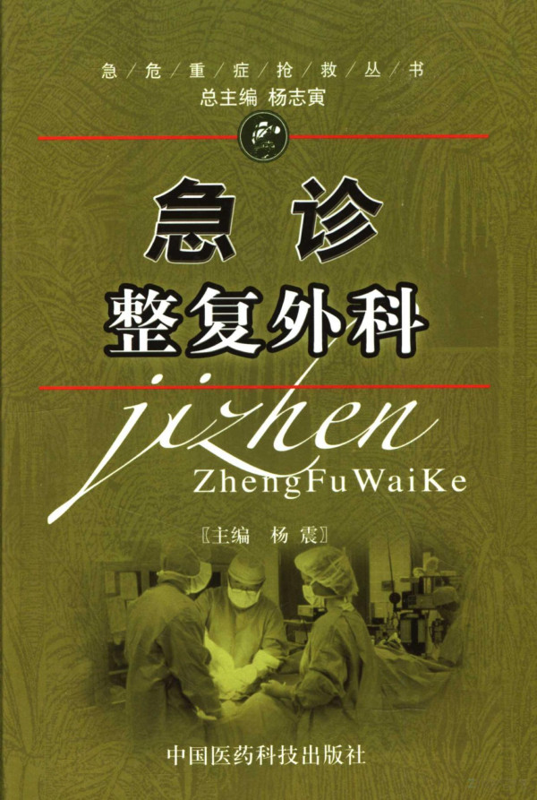 2006th Edition Yang Zhen