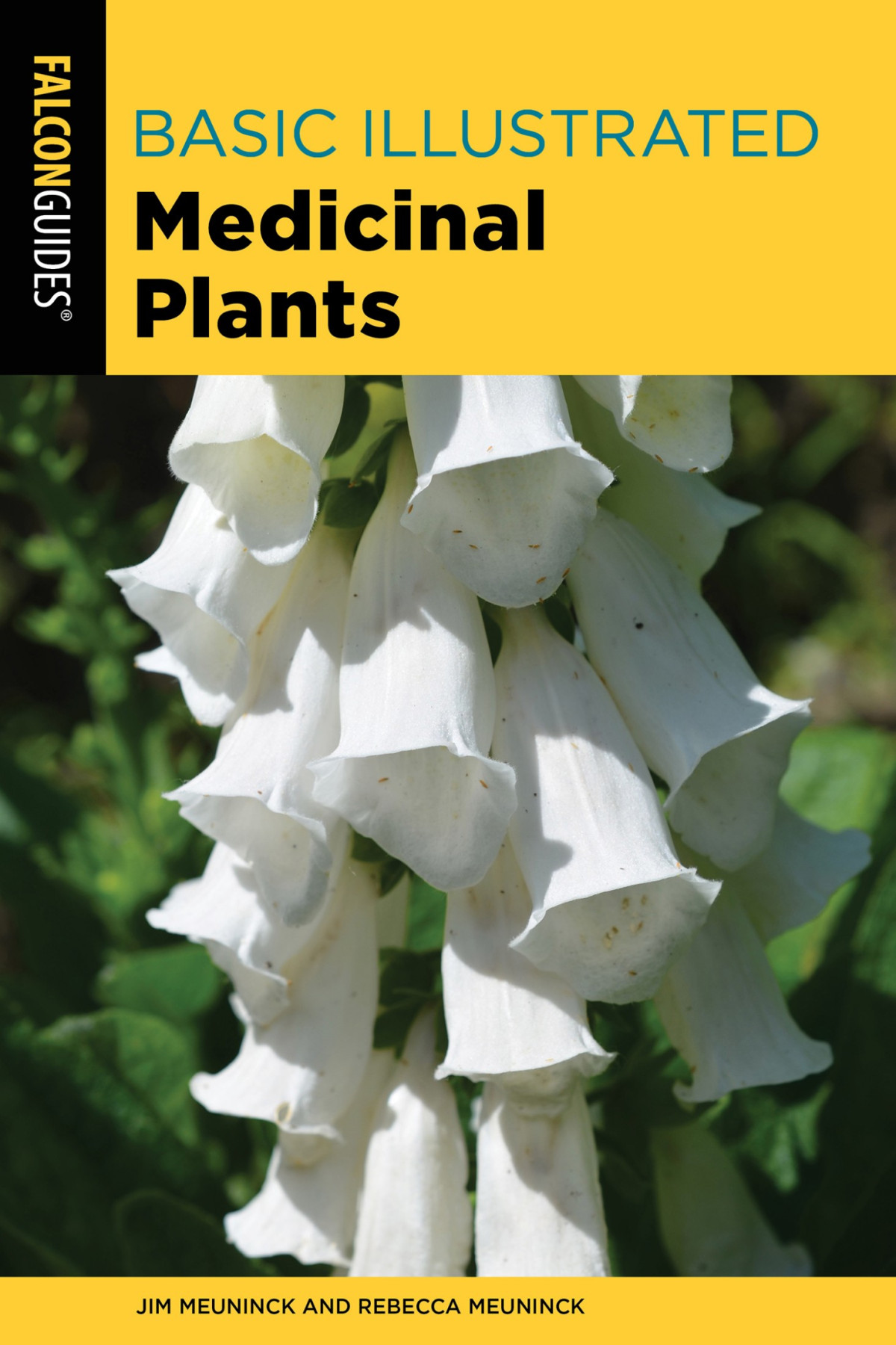 Basic Illustrated Medicinal Plants Jim Meuninck Rebecca Meuninck