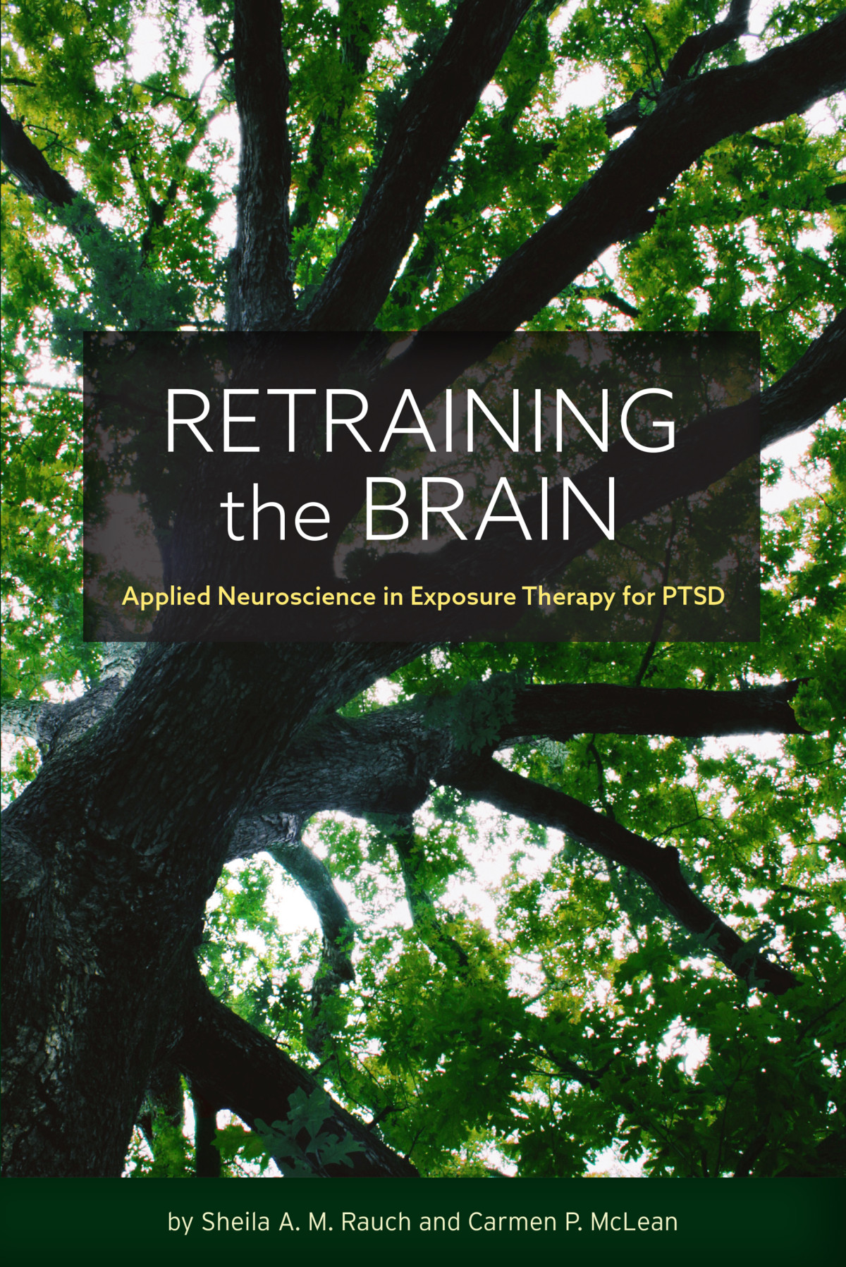 Retraining The Brain Sheila Rauchcarmen Mclean