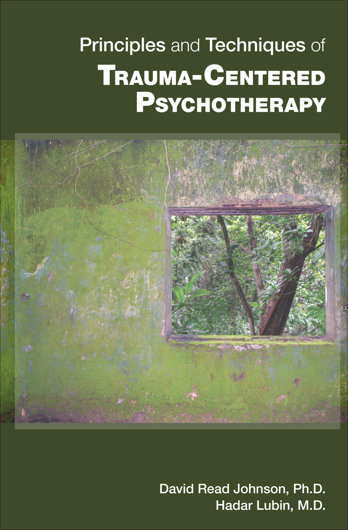 Principles And Techniques Of Traumacentered Psychotherapy David Read Johnson