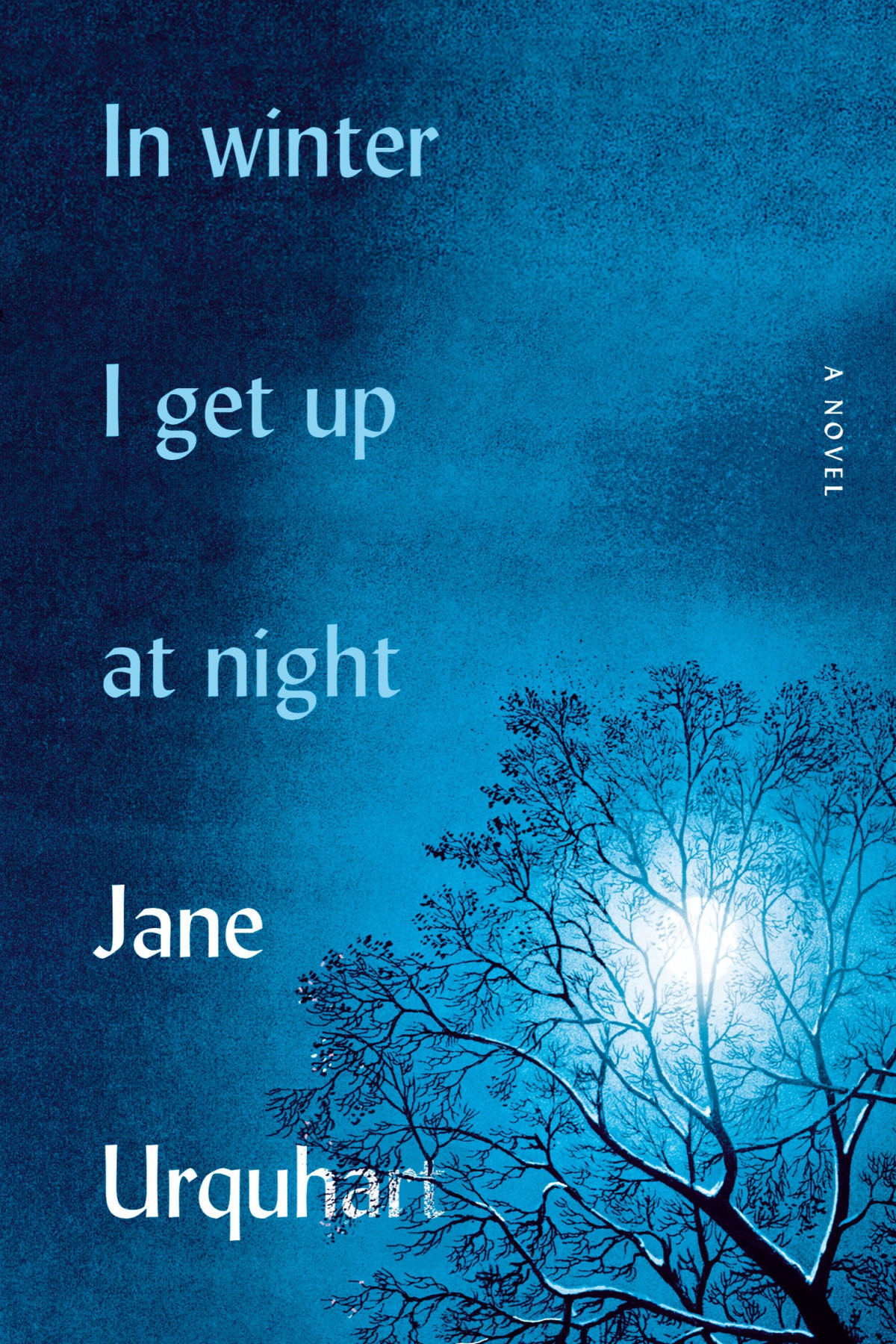 In Winter I Get Up At Night A Novel Jane Urquhart