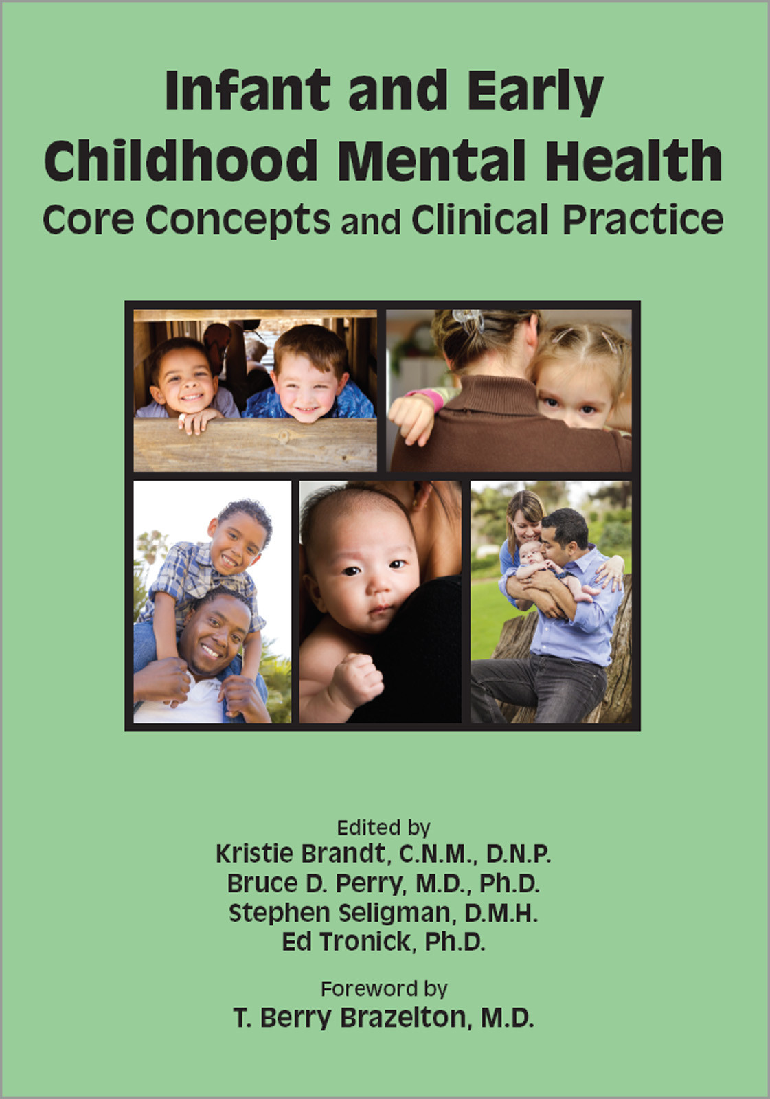Infant And Early Childhood Mental Health Kristie Brandt Bruce D Perry