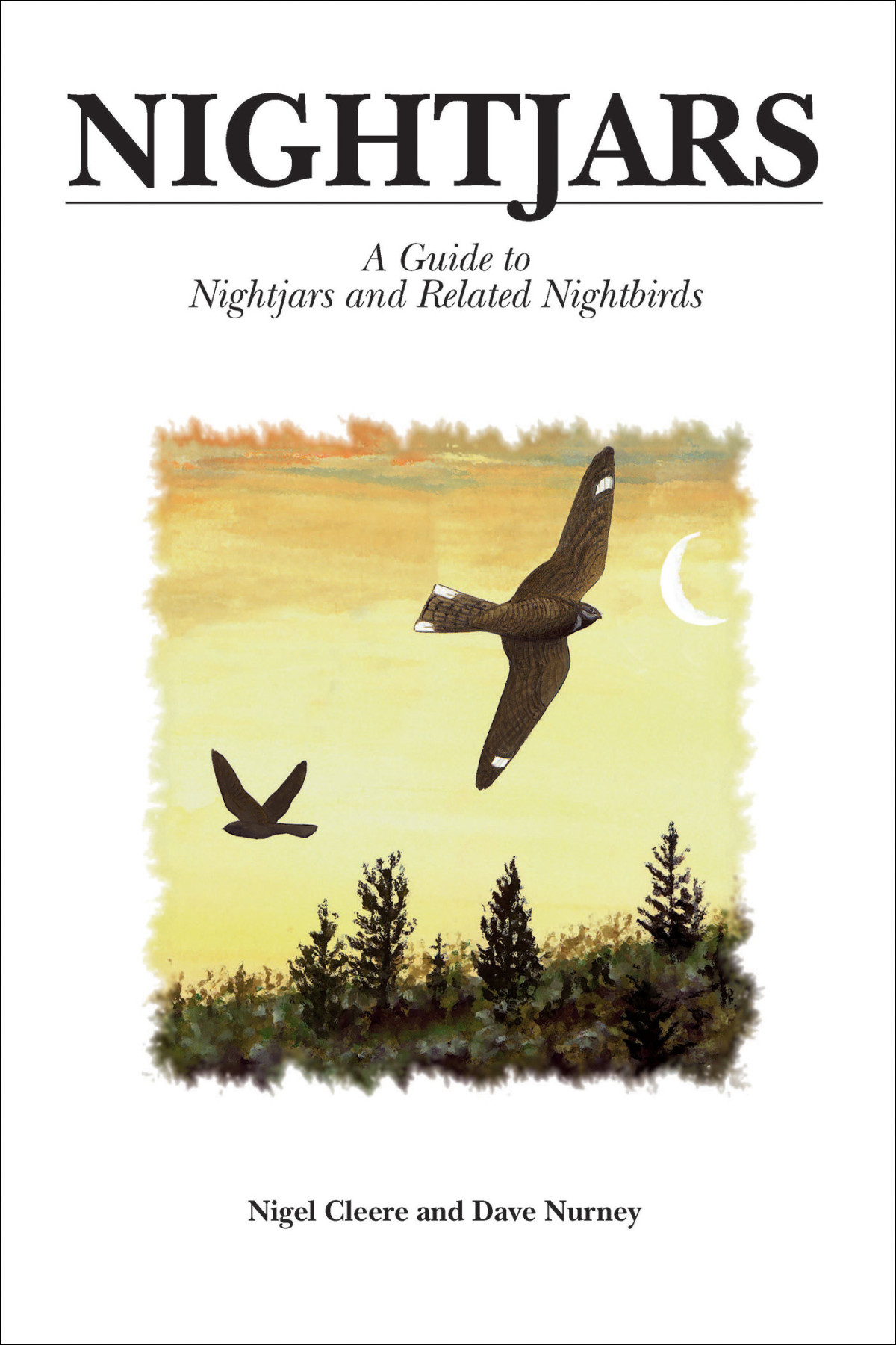 Nightjars Nigel Cleere