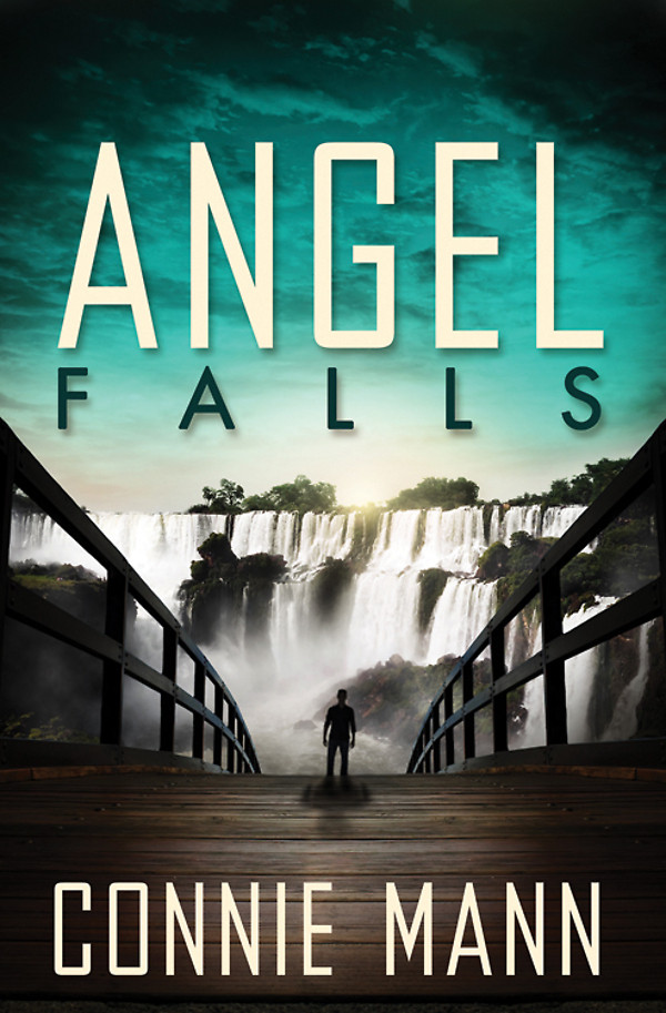 Angel Falls Mann Connie