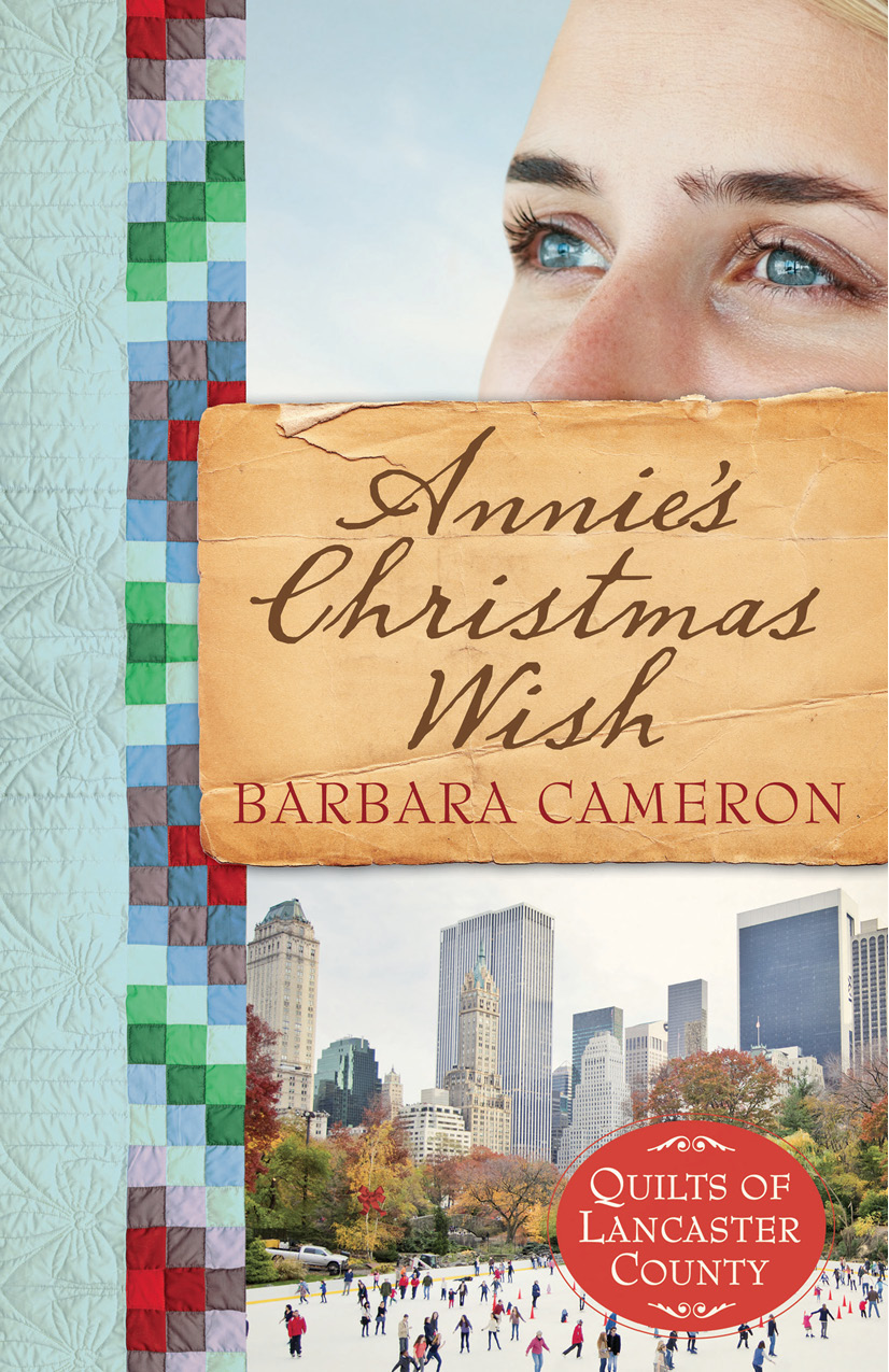 Annies Christmas Wish Quilts Of Lancaster County Book 4 Cameron