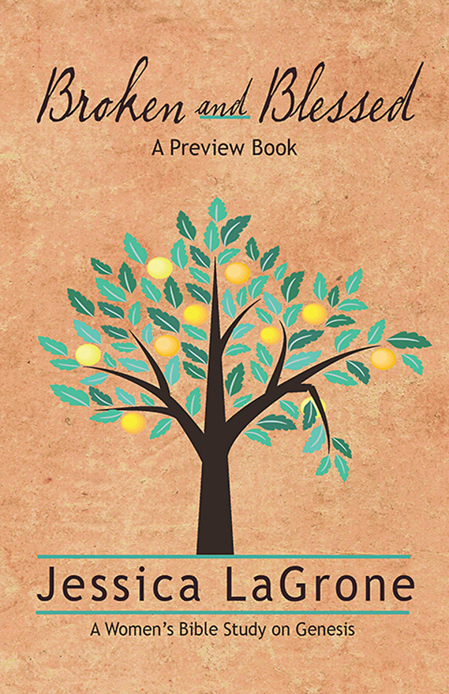 Broken And Blessed Preview Book Jessica Lagrone