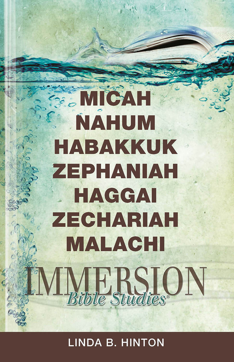 Immersion Bible Studies Micah Nahum Habakkuk Zephaniah Haggai Zechariah Malachi Linda B Hinton