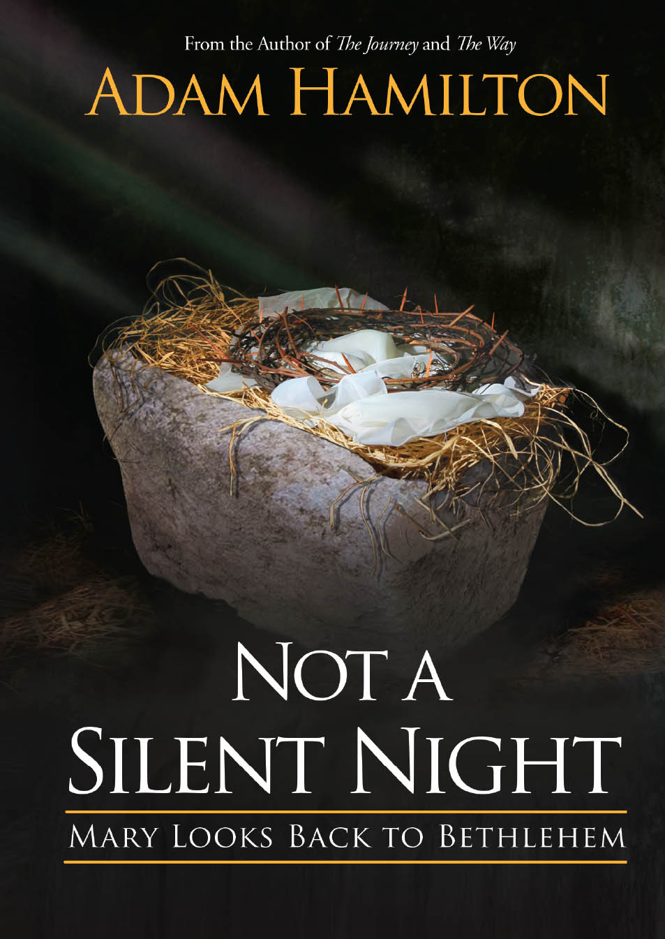 Not A Silent Night Adam Hamilton