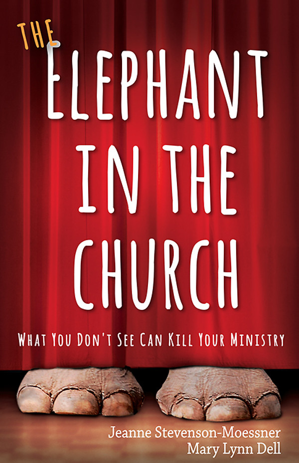 The Elephant In The Church Mary Lynn Delljeanne Stevensonmoessner Mary Lynn Dell