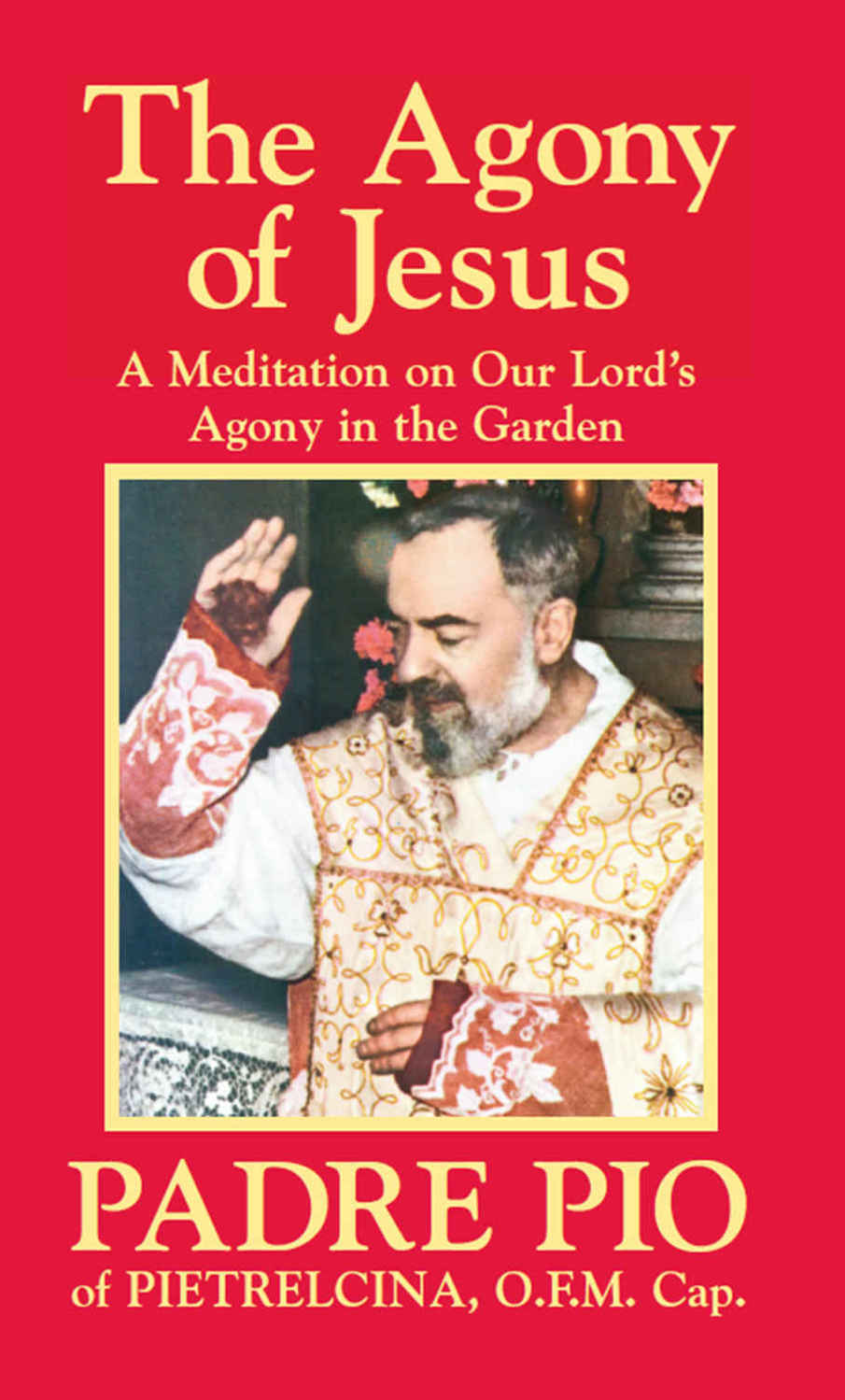 The Agony Of Jesus St Padre Pio