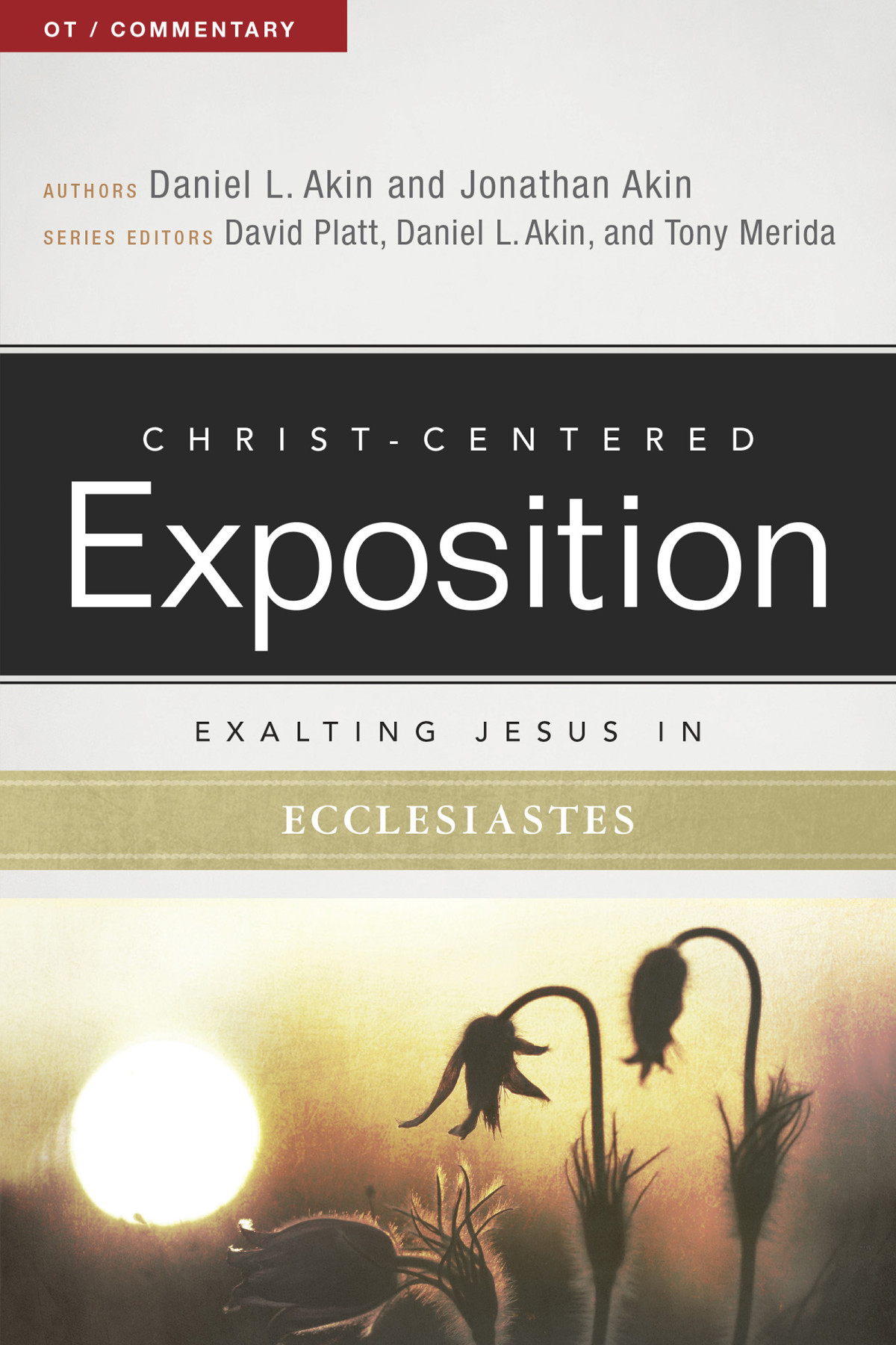 Exalting Jesus In Ecclesiastes Dr Daniel L Akinjonathan Akintony Meridadavid Platt Jonathan Akin David Platt Dr Daniel L Akin Tony Merida