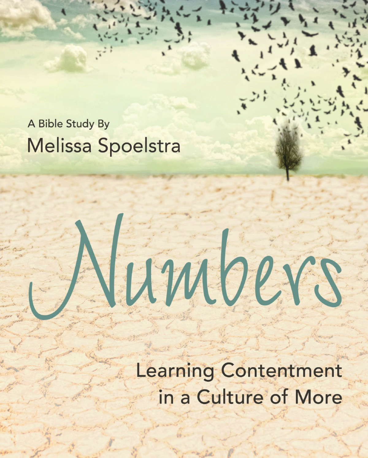 Numbers Womens Bible Study Participant Workbook Learning Contentment In A Culture Of More Spoelstra