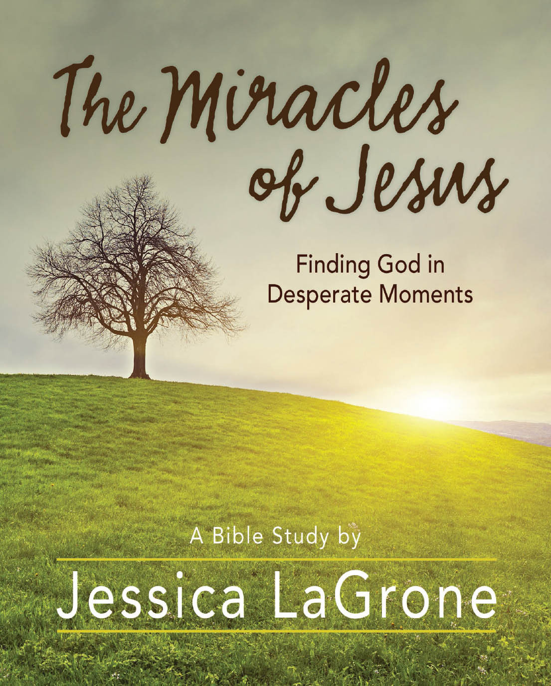 The Miracles Of Jesus Womens Bible Study Participant Workbook Finding God In Desperate Moments Lagrone