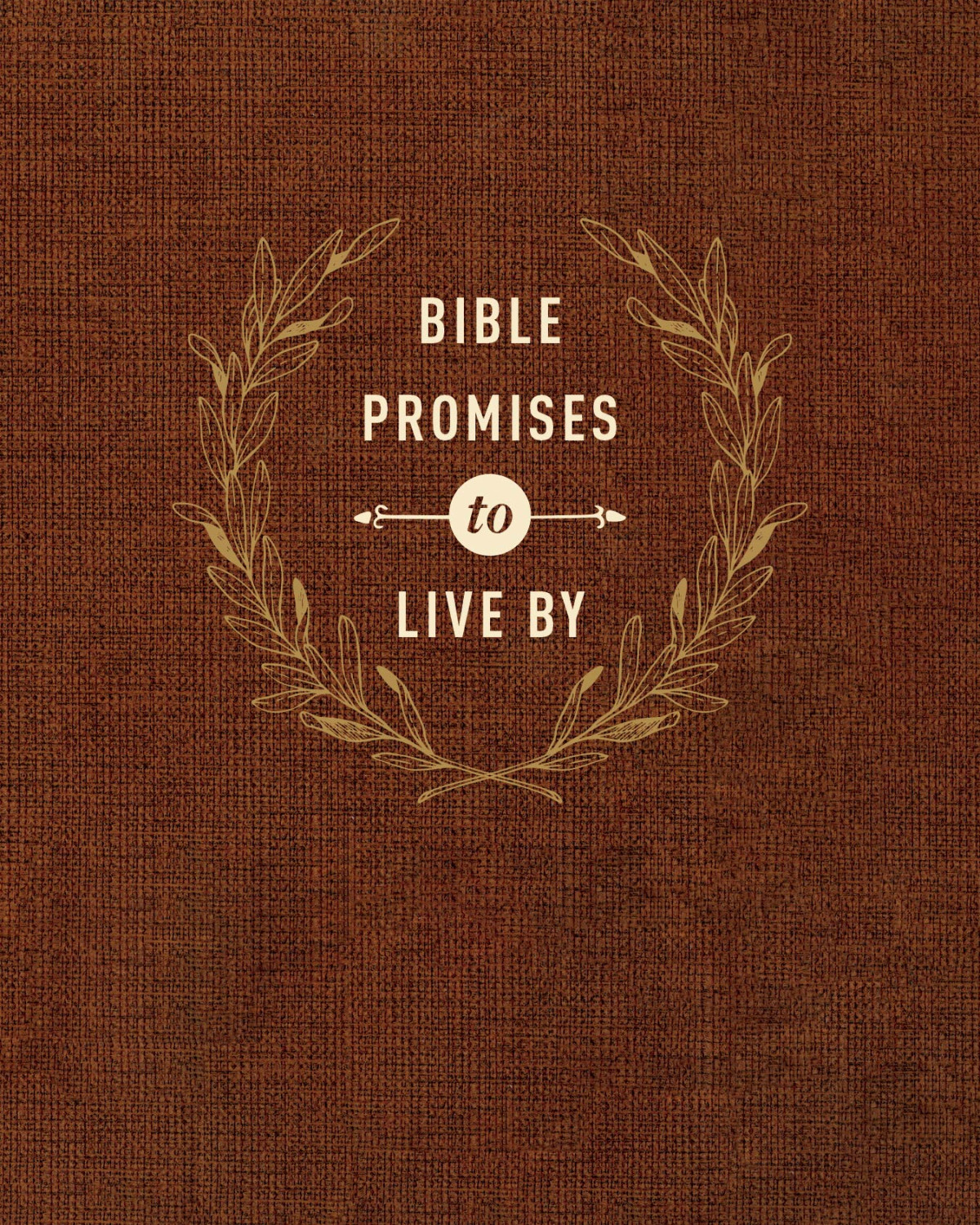 Bible Promises To Live By Amy Mason