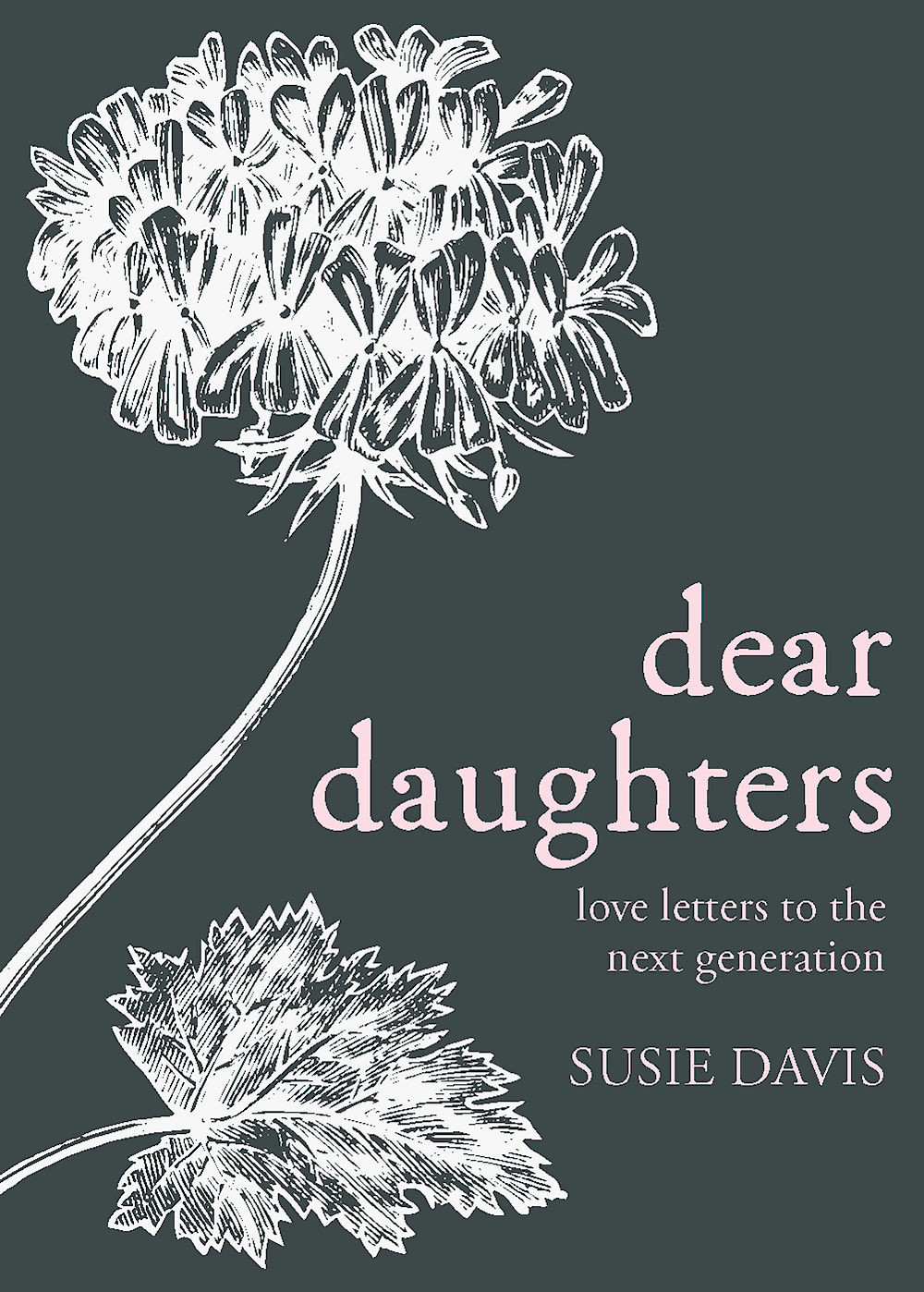 Dear Daughters Love Letters To The Next Generation Davis Susie