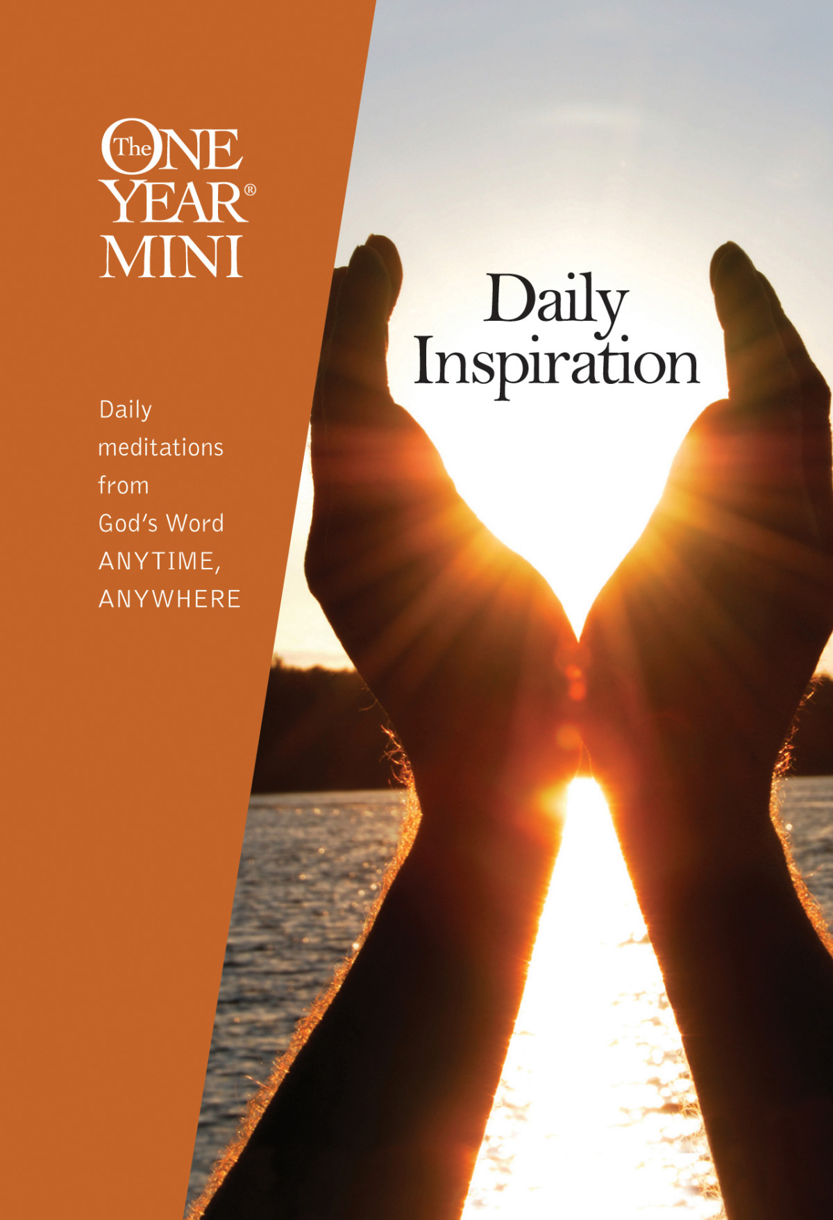 The One Year Mini Daily Inspiration Ron Beersamy E Mason Amy E Mason