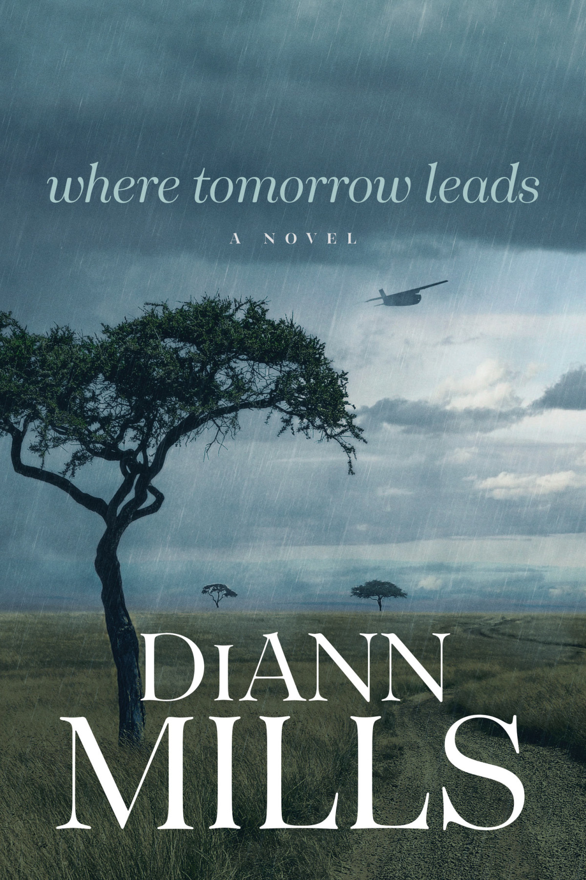Where Tomorrow Leads Diann Mills