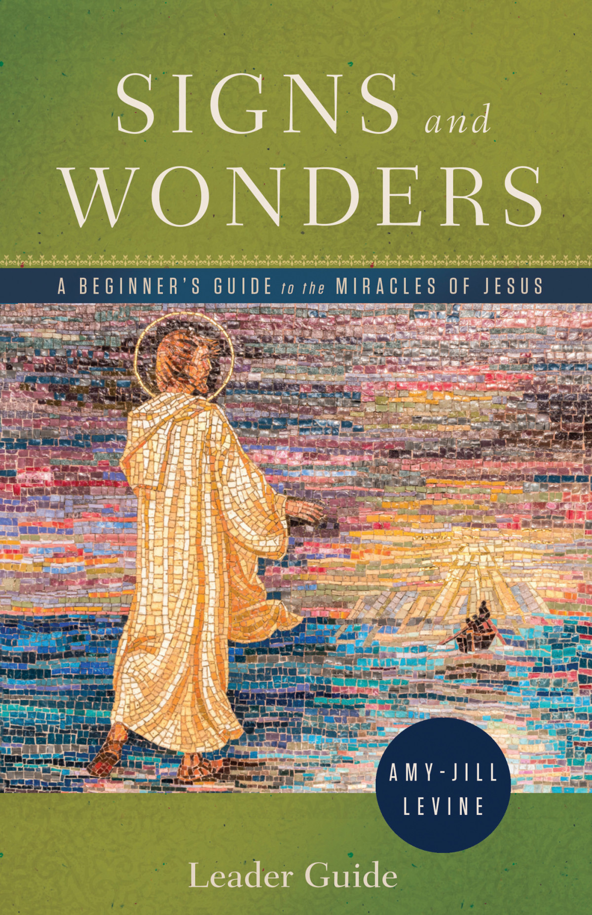 Signs And Wonders Leader Guide A Beginners Guide To The Miracles Of Jesus Levine