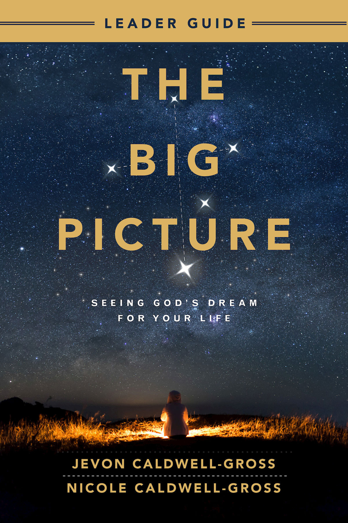 The Big Picture Leader Guide Seeing Gods Dream For Your Life Caldwellgross